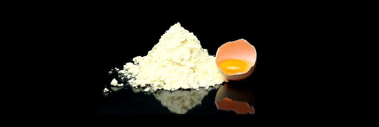 برای نخستین بار در جهان صورت گرفت؛تولید پودر سفیده تخم‌مرغ به روش الکتروهیدرودینامیک در دانشگاه تبریز