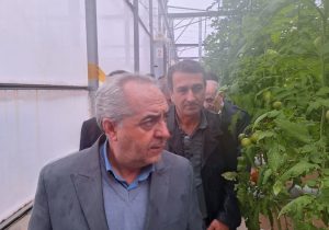 بازدید استاندار از گلخانه نوپای سمیعی با هدف حمایت از تولید پایدار