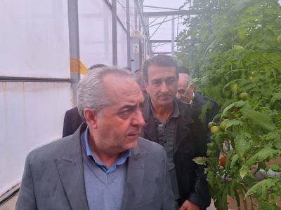 بازدید استاندار از گلخانه نوپای سمیعی با هدف حمایت از تولید پایدار