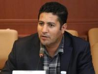 گل محمدی عضو شورای راهبردی فدراسیون بوکس کشور منصوب شد