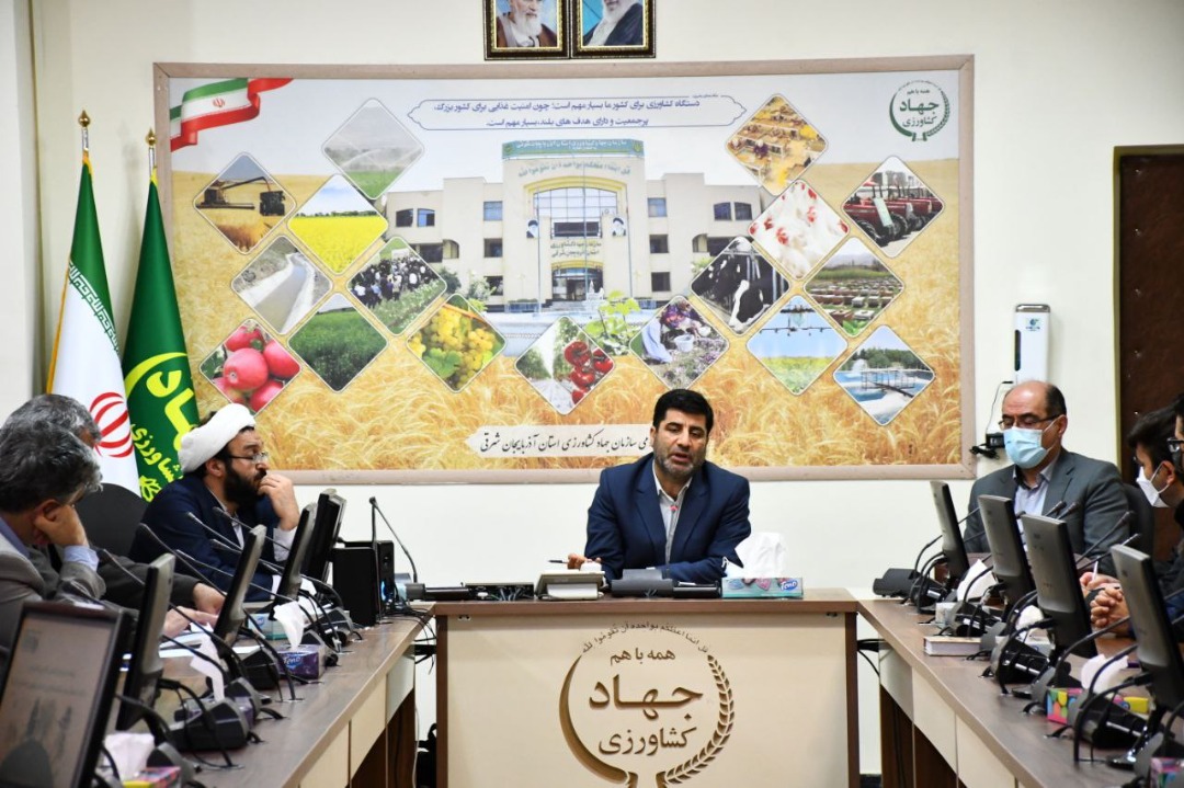 زمینه های فعالیت دانش بنیانی در بخش کشاورزی بسیار وسیع تر از سایر بخش ها می باشد