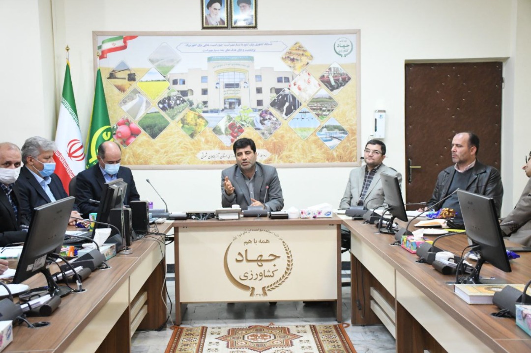 تمام دامداریهای سنتی آذربایجان شرقی دامدارکارت دریافت می کنند/تامین سرمایه در گردش مورد نیاز دامداریهای صنعتی و مرغداریها