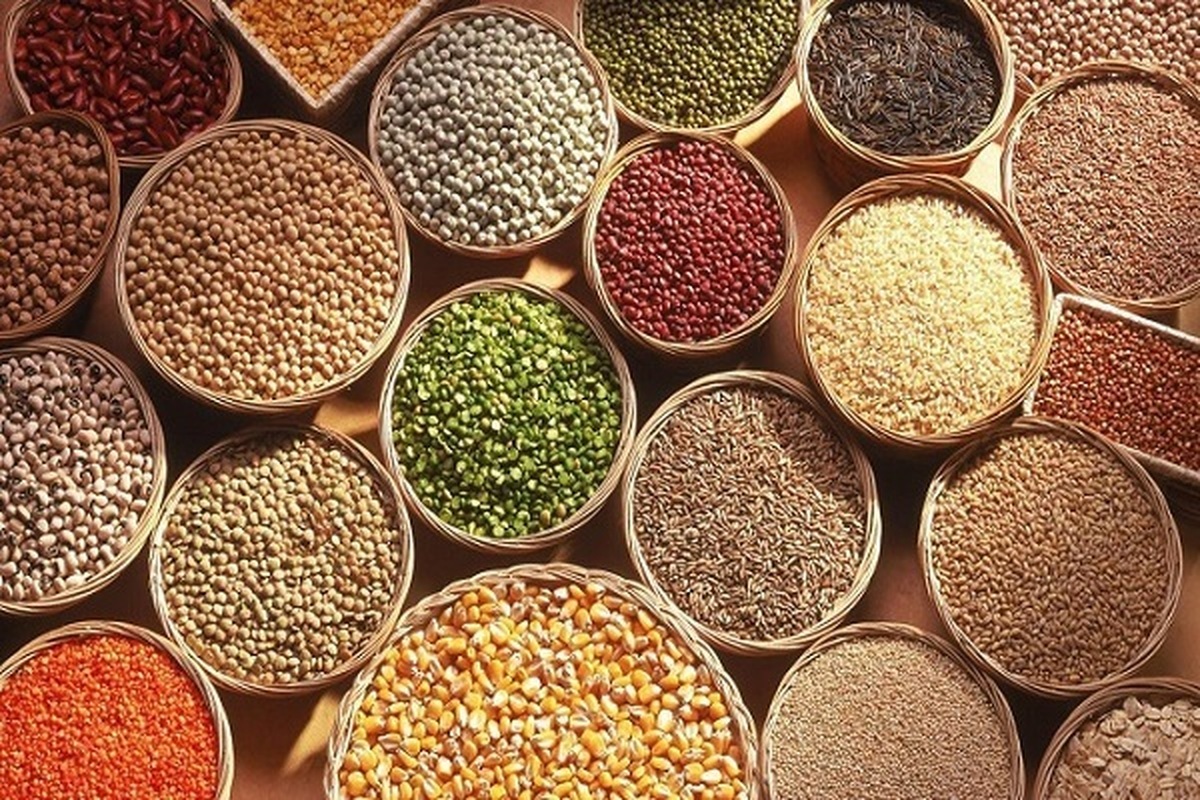 تأمین نیاز بذری اکثر محصولات زراعی در آذربایجان شرقی