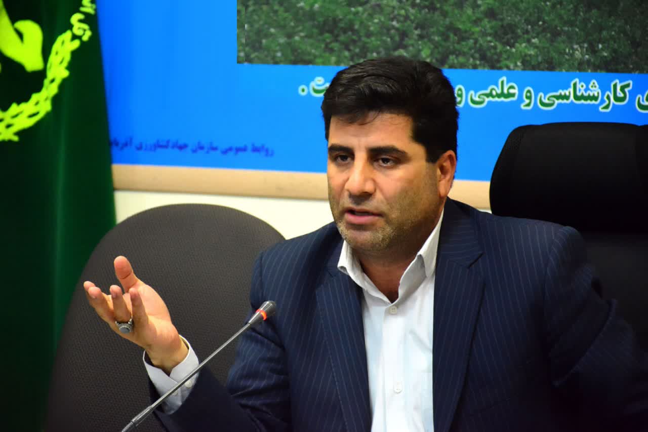 افزایش ۶۴ درصدی خرید گندم در استان آذربایجان شرقی نسبت به سال گذشته