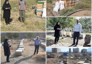 آمارگیری از زنبورستان های استان همزمان با سراسر کشور از هفته دوم مهر ماه سال ۱۴۰۲