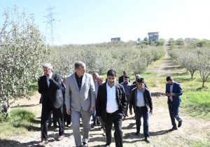 با دستور مقام عالی وزارت صورت خواهد گرفت؛بررسی مسائل حوزه کشاورزی اهر در جلسه‌ای با حضور عالی‌ترین مسئولین دستگاه‌های مربوطه