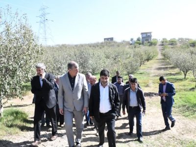 با دستور مقام عالی وزارت صورت خواهد گرفت؛بررسی مسائل حوزه کشاورزی اهر در جلسه‌ای با حضور عالی‌ترین مسئولین دستگاه‌های مربوطه