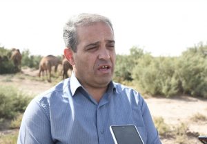 بخش ایلخچی شهرستان اسکو قطب پرورش شتر در شمالغرب کشور