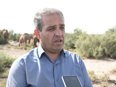 بخش ایلخچی شهرستان اسکو قطب پرورش شتر در شمالغرب کشور