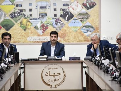 ایجاد زنجیره ارزش، راه حل چالش های حوزه طیور است