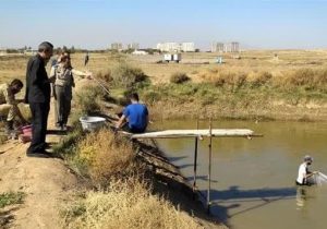 شروع صید ماهی قزل آلا از استخر پرورشی پایگاه هوانیروز تبریز