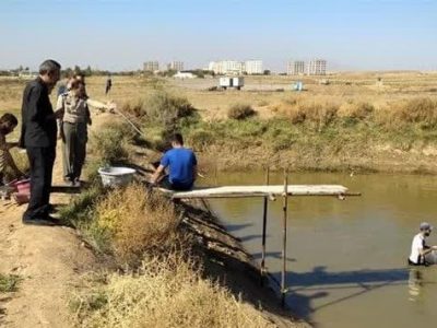 شروع صید ماهی قزل آلا از استخر پرورشی پایگاه هوانیروز تبریز
