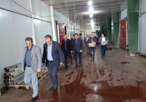 بازدید از سردخانه های اهر برای تامین سیب شب عید