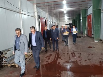 بازدید از سردخانه های اهر برای تامین سیب شب عید