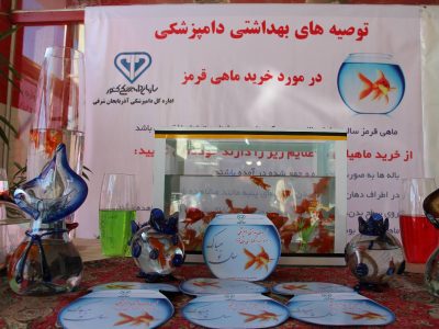 توصیه‌های دامپزشکی آذربایجان شرقی درباره خرید و نگهداری ماهی قرمز