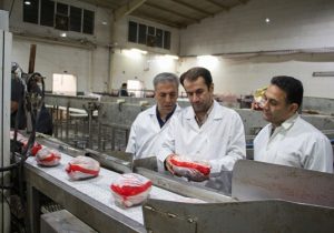 بازدید شبانه مدیرکل دامپزشکی استان از کشتارگاه صنعتی طیور آذران مرغ