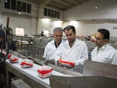 بازدید شبانه مدیرکل دامپزشکی استان از کشتارگاه صنعتی طیور آذران مرغ