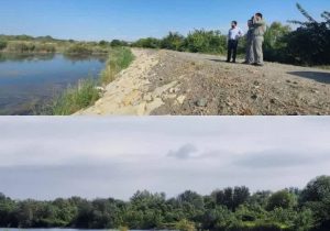 پایش آنفلوآنزای حاد پرندگان در حاشیه رودخانه ارس