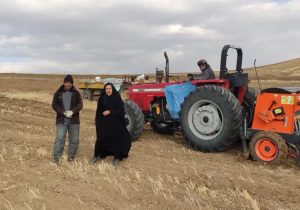 کشت گیاهان علوفه ای و دانه های روغنی در دیمزارهای شهرستان بستان آباد