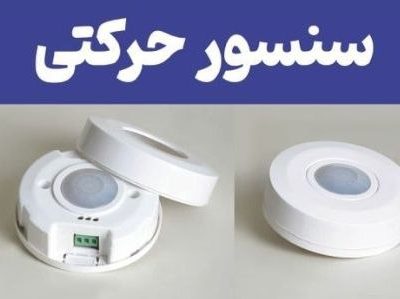 سنسوری که سارقان را شناسایی می‌کند