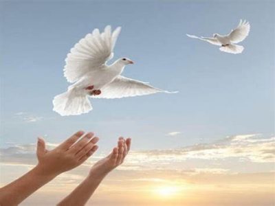 آزادی ۱۲ زندانی جرائم غیرعمد استان در ایام فاطمیه