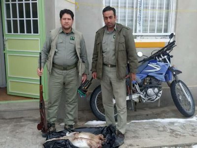شکارچیان سهند گرفتار محیط بانان شدند