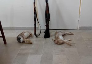 دستگیری شکارچیان در سراب