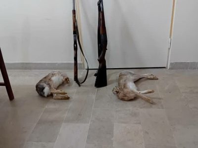 دستگیری شکارچیان در سراب