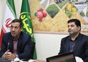 جذابیت سرمایه گذاری در حوزه زراعت چوب / زراعت چوب سودآور و دارای جذابیت است