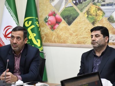 جذابیت سرمایه گذاری در حوزه زراعت چوب / زراعت چوب سودآور و دارای جذابیت است