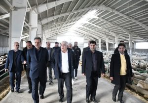 کارآفرینان و سرمایه گذاران بخش کشاورزی حمایت می شوند