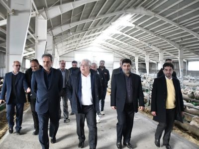 کارآفرینان و سرمایه گذاران بخش کشاورزی حمایت می شوند
