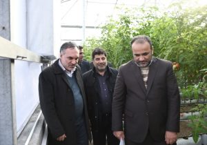شهرک گلخانه ای عجب شیر به زودی به بهره برداری کامل می رسد