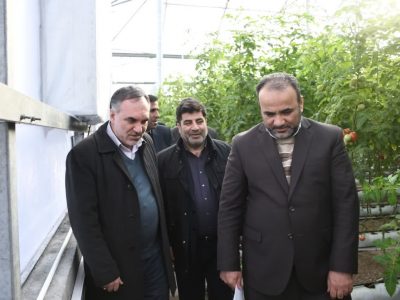 شهرک گلخانه ای عجب شیر به زودی به بهره برداری کامل می رسد