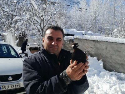دُراج زخمی پس از تیمار در جنگلهای ارسباران اوج گرفت