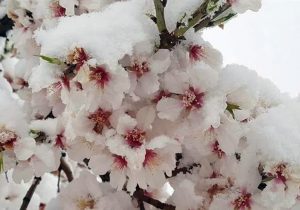هشدارها برای دومین هفته فروردین ماه در استان آذربایجان شرقی