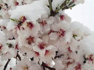 هشدارها برای دومین هفته فروردین ماه در استان آذربایجان شرقی