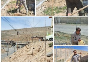 سر محیط بانی شهید حنیفی با غرس نهال مزین شد