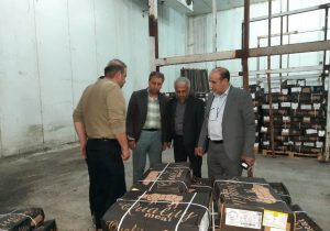 بازدید مدیر کل پشتیبانی امور دام آذربایجان شرقی از روند توزیع گوشت قرمز
