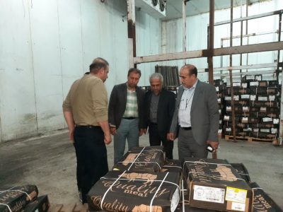 بازدید مدیر کل پشتیبانی امور دام آذربایجان شرقی از روند توزیع گوشت قرمز