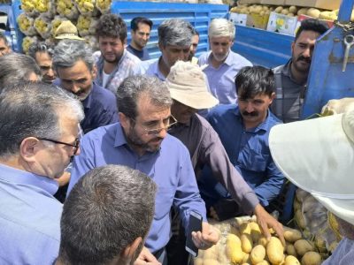 خرید توافقی سیب زمینی در تعاون روستایی آذربایجان شرقی