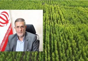 تولید بیش از ۳۰ میلیون اصله نهال از ابتدای اجرای طرح مردمی کاشت یک میلیارد درخت در کشور در استان آذربایجان شرقی