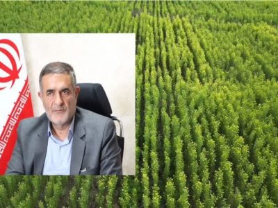 تولید بیش از ۳۰ میلیون اصله نهال از ابتدای اجرای طرح مردمی کاشت یک میلیارد درخت در کشور در استان آذربایجان شرقی