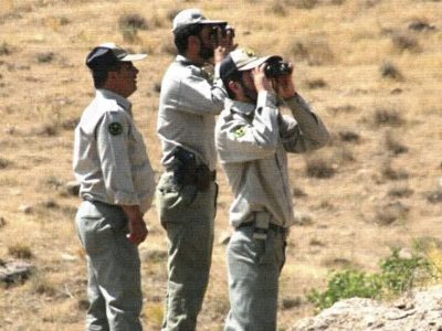 ضرب و جرح رئیس اداره محیط زیست و محیط بانان میانه توسط شکارچیان