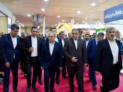 بازدید نماینده وزیر اقتصاد از نمایشگاه صنعت خودرو
