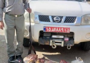 دستگیری شکارچیان در چاراویماق