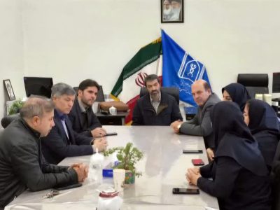 پتانسیل‌های مهارت‌آموزی برای بیماران روانی و جذامی در بیمارستان باباباغی تبریز