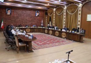 بررسی بودجه ۱۴۰۴ شهرداری‌های مناطق ۶ و ۹ در دویست و پنجاهمین جلسه شورای اسلامی شهر تبریز