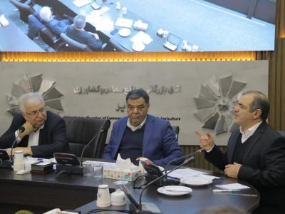 قدردانی مدیر ستاد دیه آذربایجان‌شرقی از مشارکت خیرانه هیئت نمایندگان اتاق تبریز