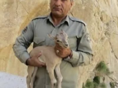 مدیر کل حفاظت محیط زیست آذربایجان شرقی شهادت محیط بان فداکار هدایت الله دیده بان را تسلیت گفت